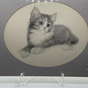 New Virginia Miller Signed Charcoal Cat Print Matted Amer Short Hair Blue Eyes